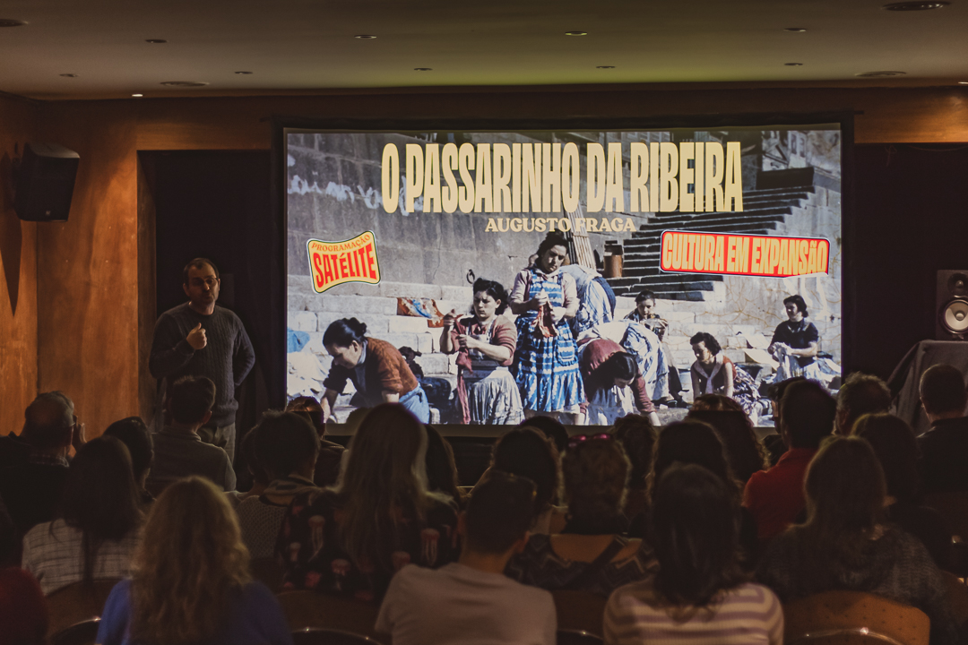 Programação e curadoria de cinema